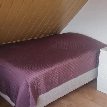 Zum Waldsachsener Grund Apartment Meerane